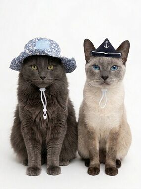 Draper James Pet Hats, Sailor Hat + Blue Floral Bucket Hat for Cat or Dog